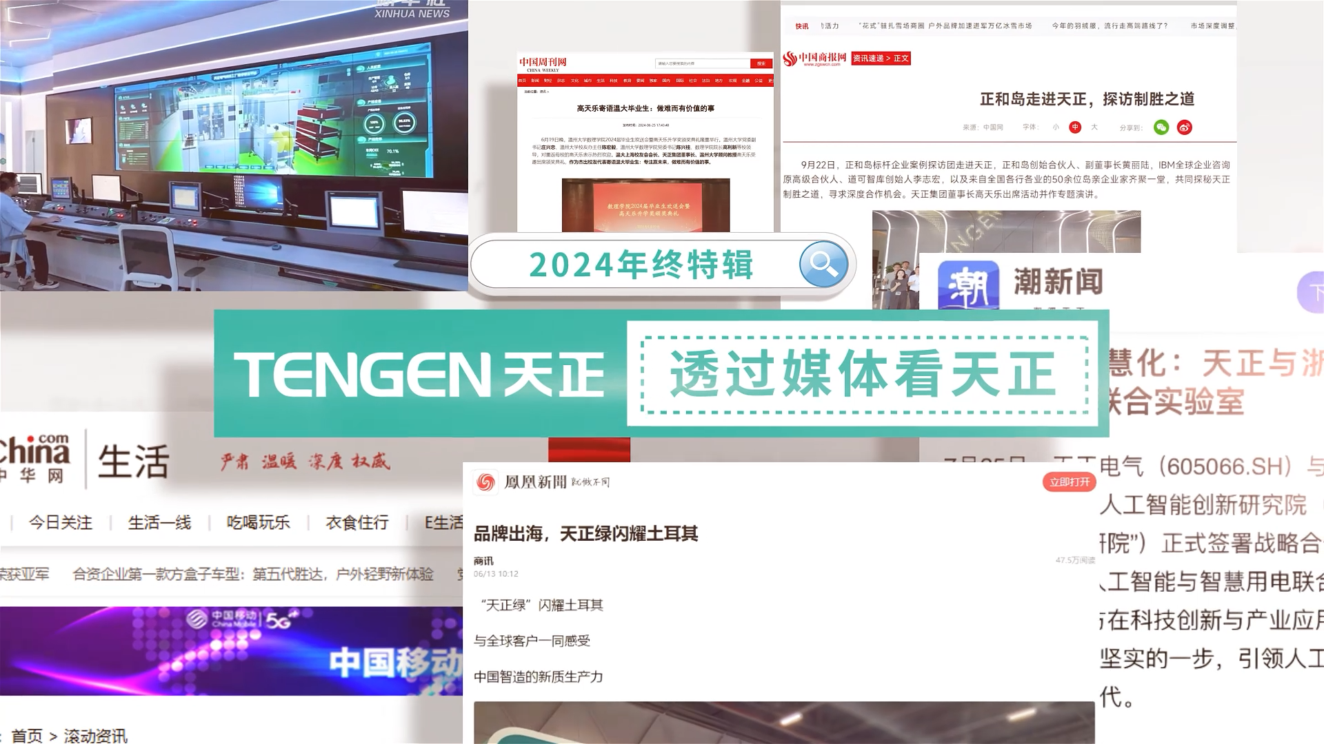 【年终特辑】2024，透过媒体看麻花豆国产剧视